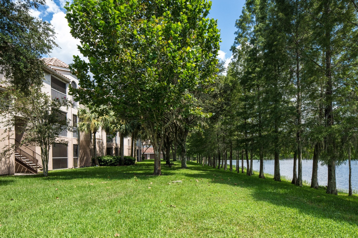 The Vinings at Hunters Green Apartments in Tampa, FL